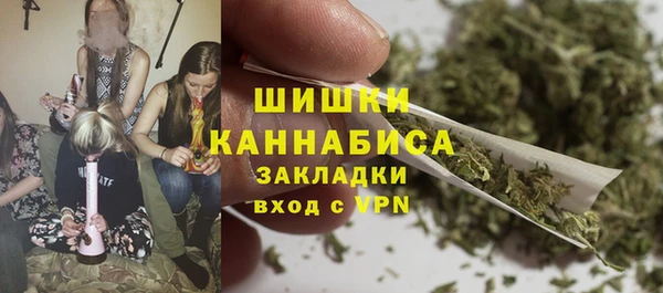 стаф Каменск-Шахтинский