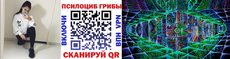 Галлюциногенные грибы Psilocybe  где купить   Электросталь 