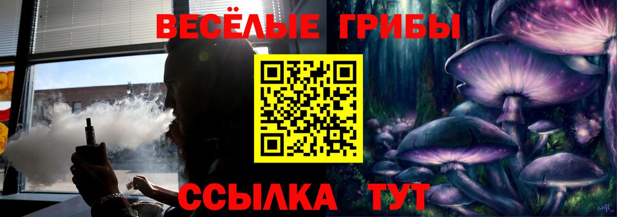 Электросталь  Псилоцибиновые грибы GOLDEN TEACHER  Вход с VPN 